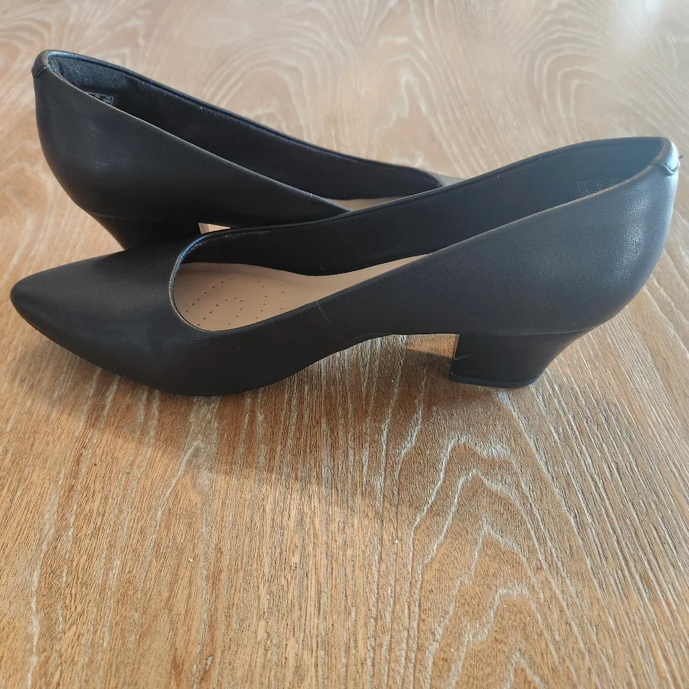 CLARKS Collection 